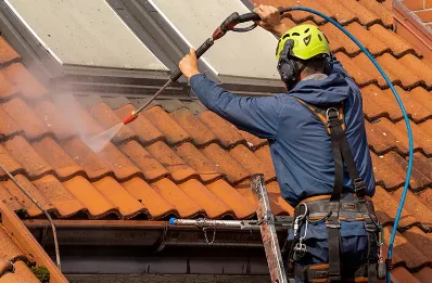 Démoussage et hydrofuge de toiture à Luxey